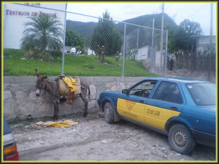 estacionamientojolalpan.jpg